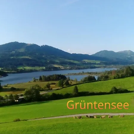 Lägenhet Schoene Auszeit Oy-Mittelberg